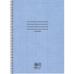 ΣΠΙΡΑΛ ΤΕΤΡΑΔΙΟ SALCO COLORLINE 2Θ 17Χ25 4 ΧΡΩΜΑΤΑ