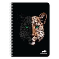 ΣΠΙΡΑΛ ΤΕΤΡΑΔΙΟ MUST ANIMAL PLANET 2Θ Α4 4 ΣΧΕΔΙΑ